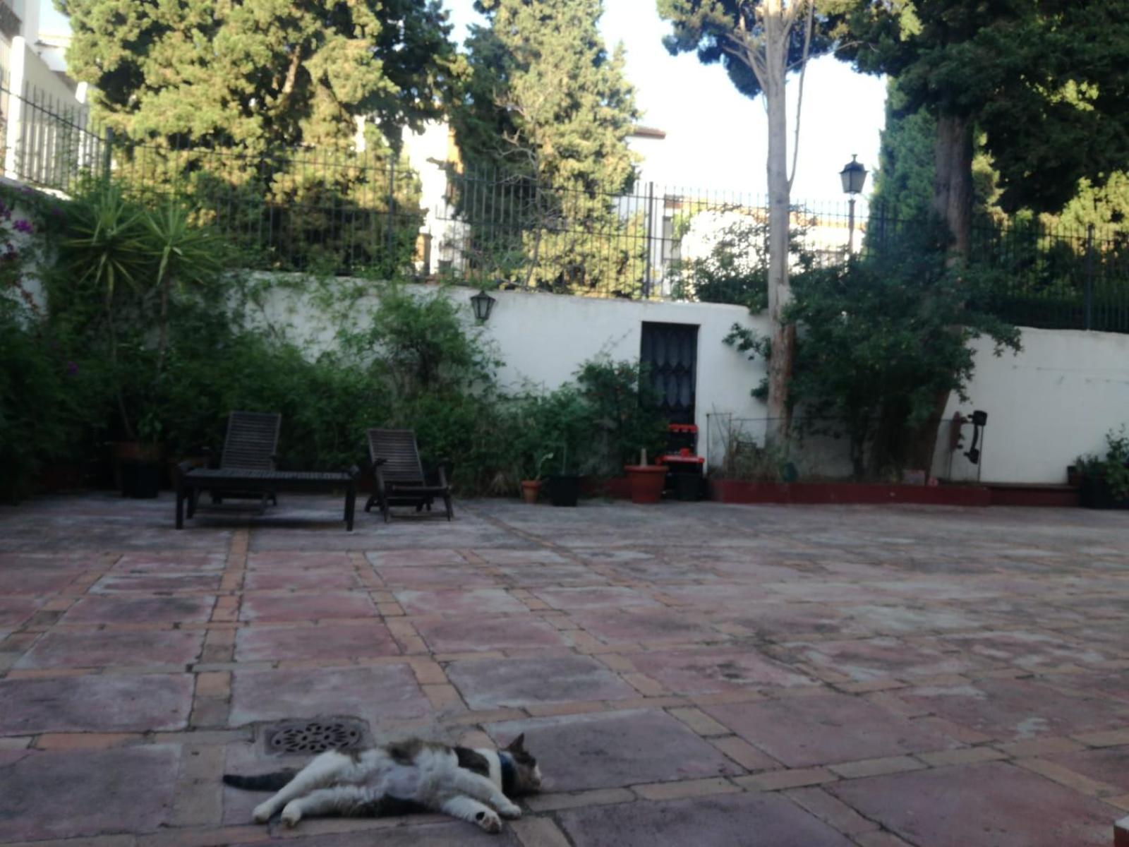 Casa Del Agua Daire Granada Dış mekan fotoğraf